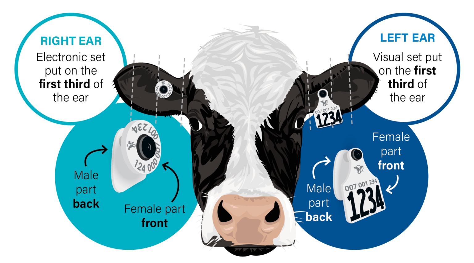 Animal ID | DairyTrace