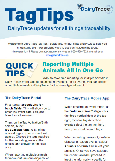 DairyTrace