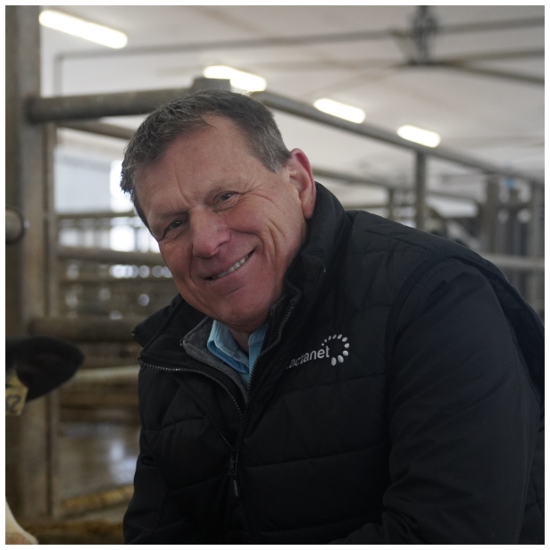 Consultant - Data analyst