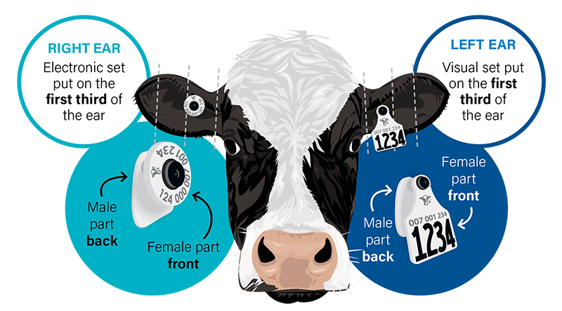 DairyTrace